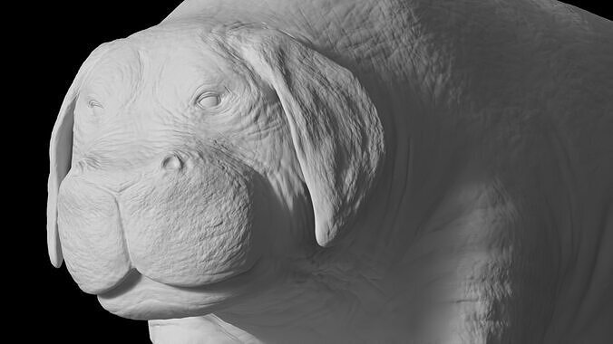 Okja STL Version 1 Free 3D print model