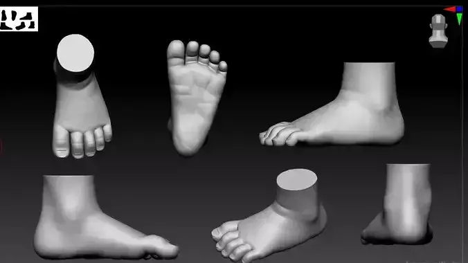 baby leg 3D print model