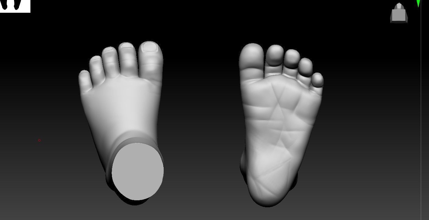 baby leg 3D print model_1