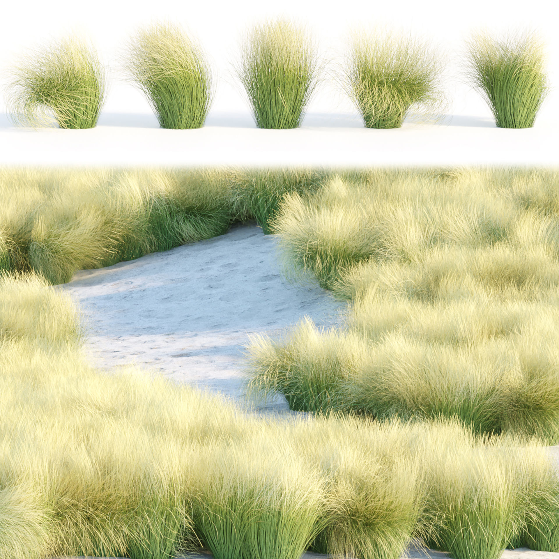 Low Poly Wild Grass Pack 40 Plus Models 2024 Edition Low-poly 3D model_8