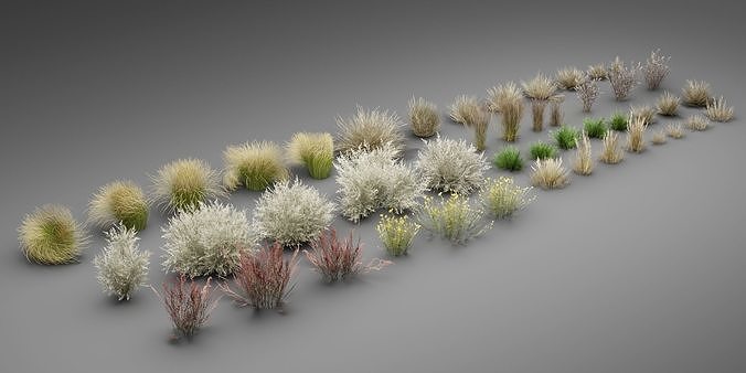 Low Poly Wild Grass Pack 40 Plus Models 2024 Edition Low-poly 3D model 2