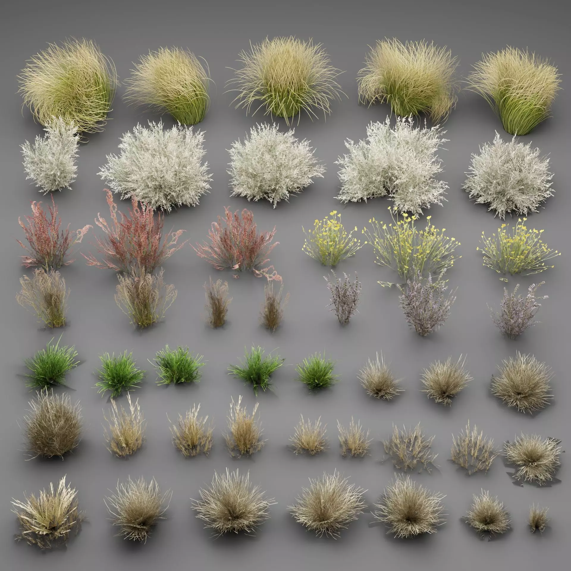 Low Poly Wild Grass Pack 40 Plus Models 2024 Edition Low-poly 3D model_0