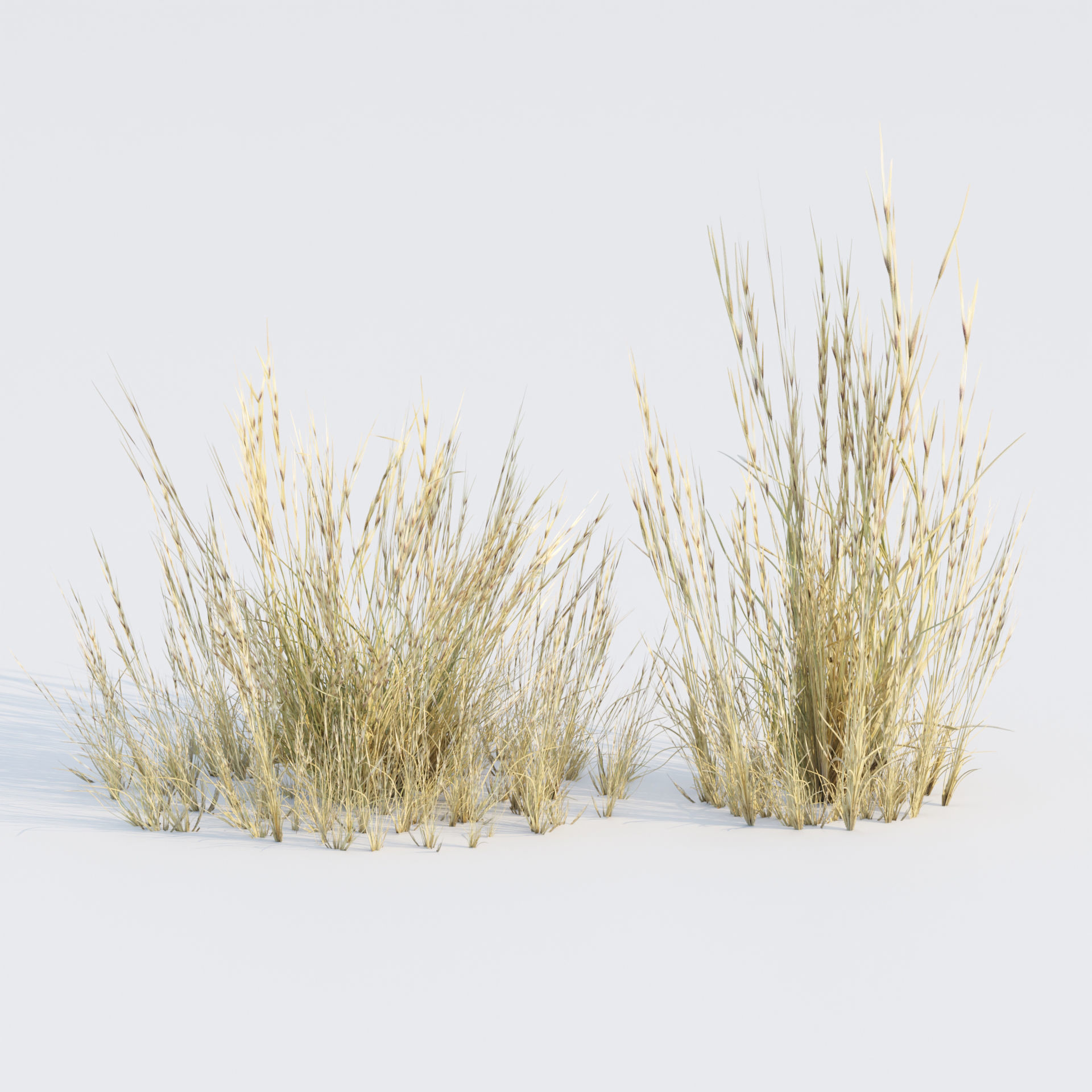 Low Poly Wild Grass Pack 40 Plus Models 2024 Edition Low-poly 3D model_21