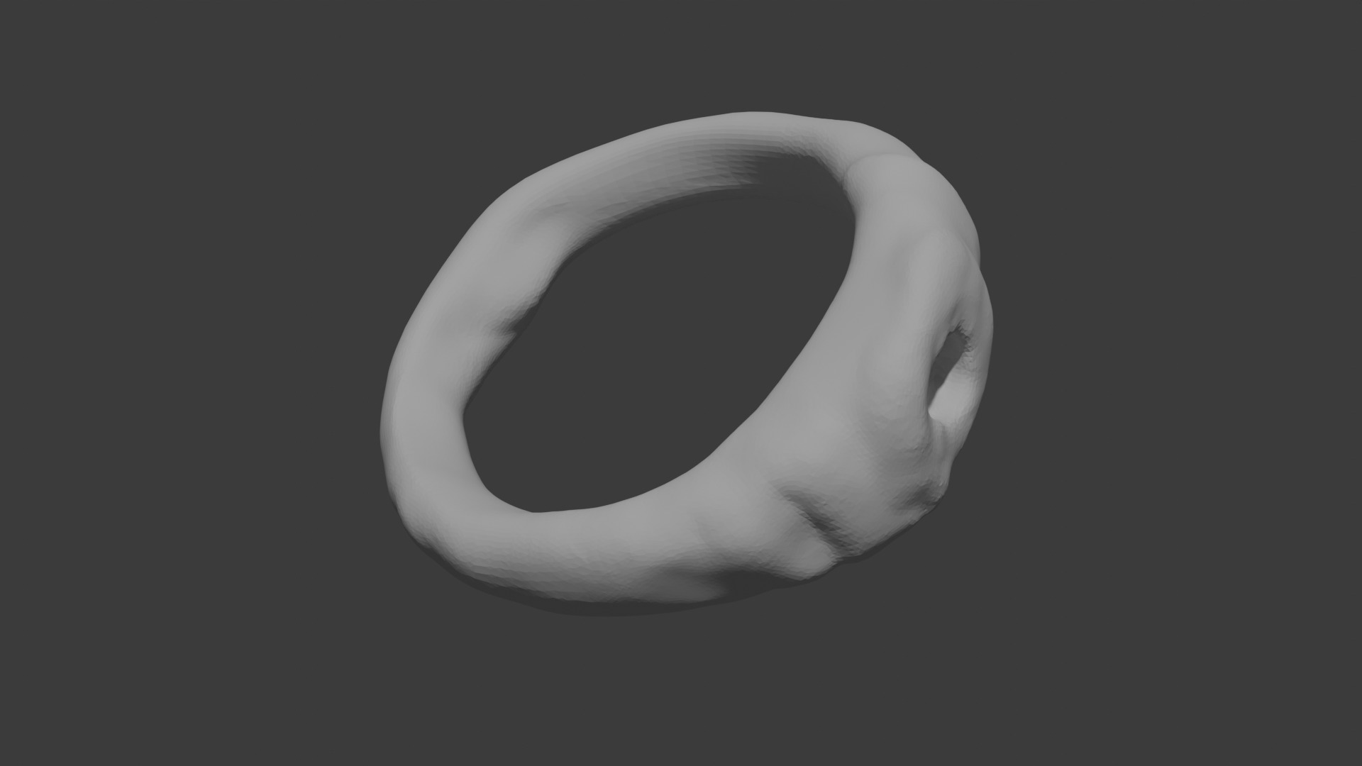 Great Swamp Ring 3D print model_1
