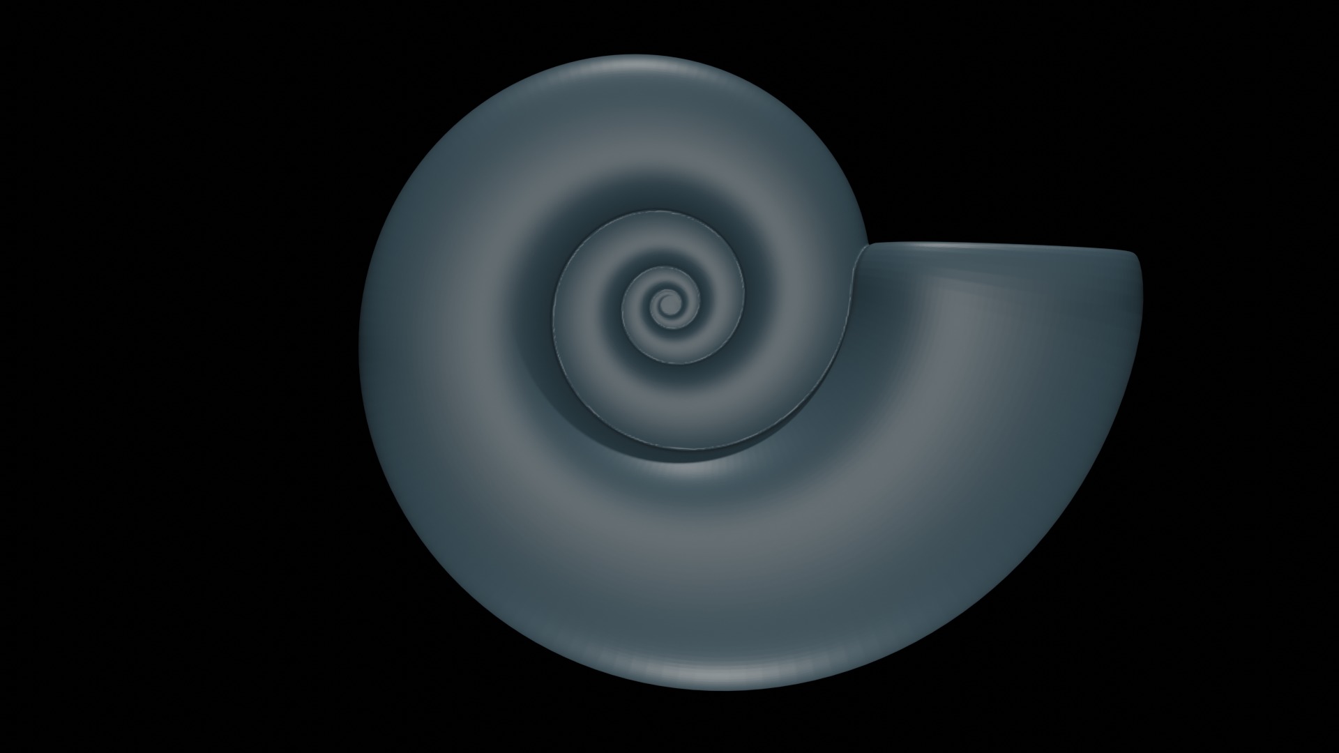 Ammonoid shell subevolute and compressed Cantabricanites 3D model_2