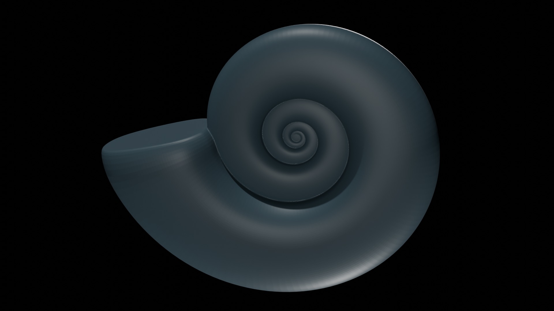 Ammonoid shell subevolute and compressed Cantabricanites 3D model_1
