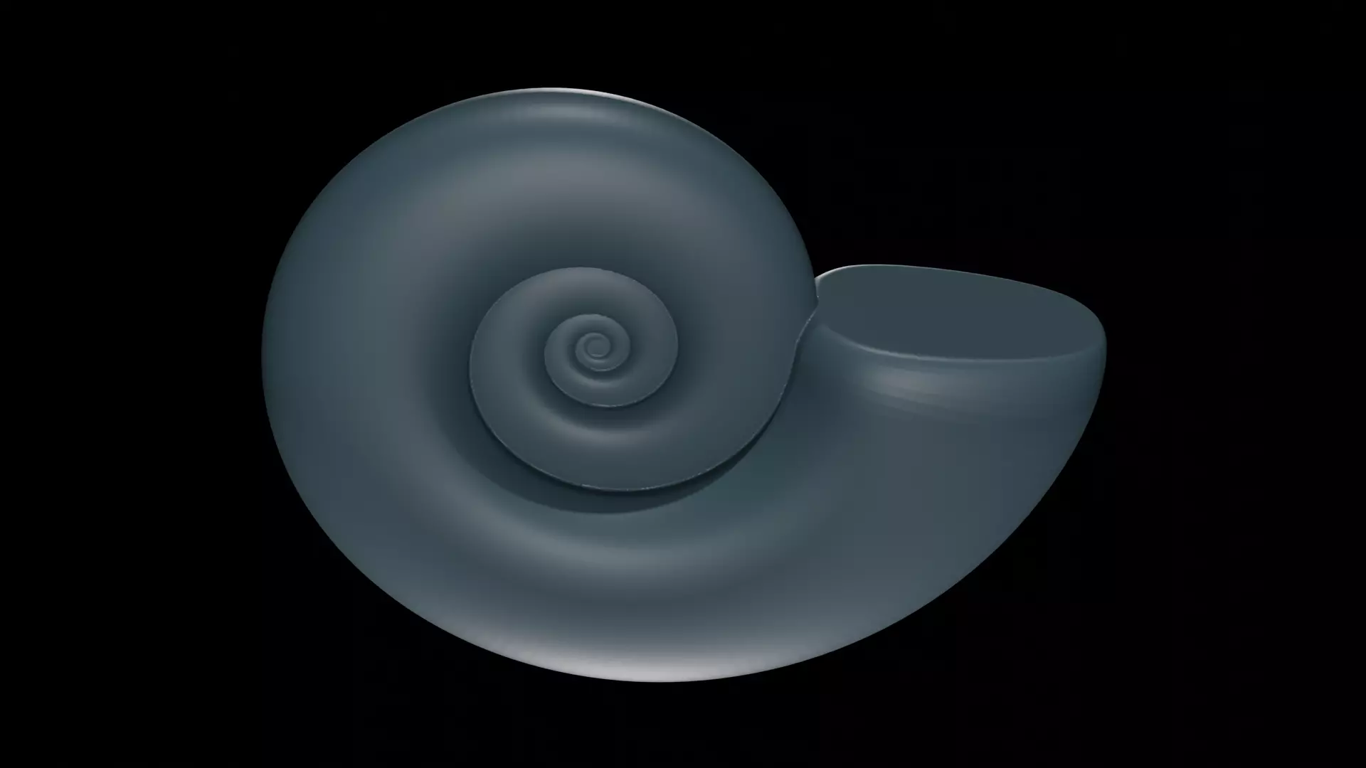 Ammonoid shell subevolute and compressed Cantabricanites 3D model_0