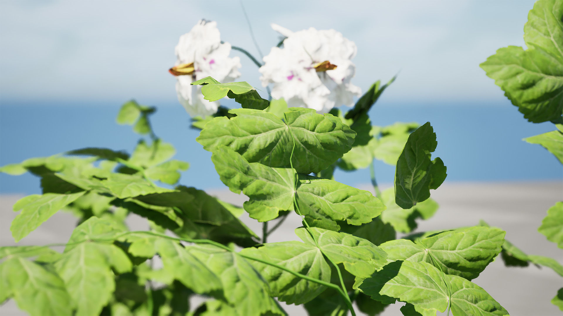 Potato Plant 3D Model Low-poly 3D model_3