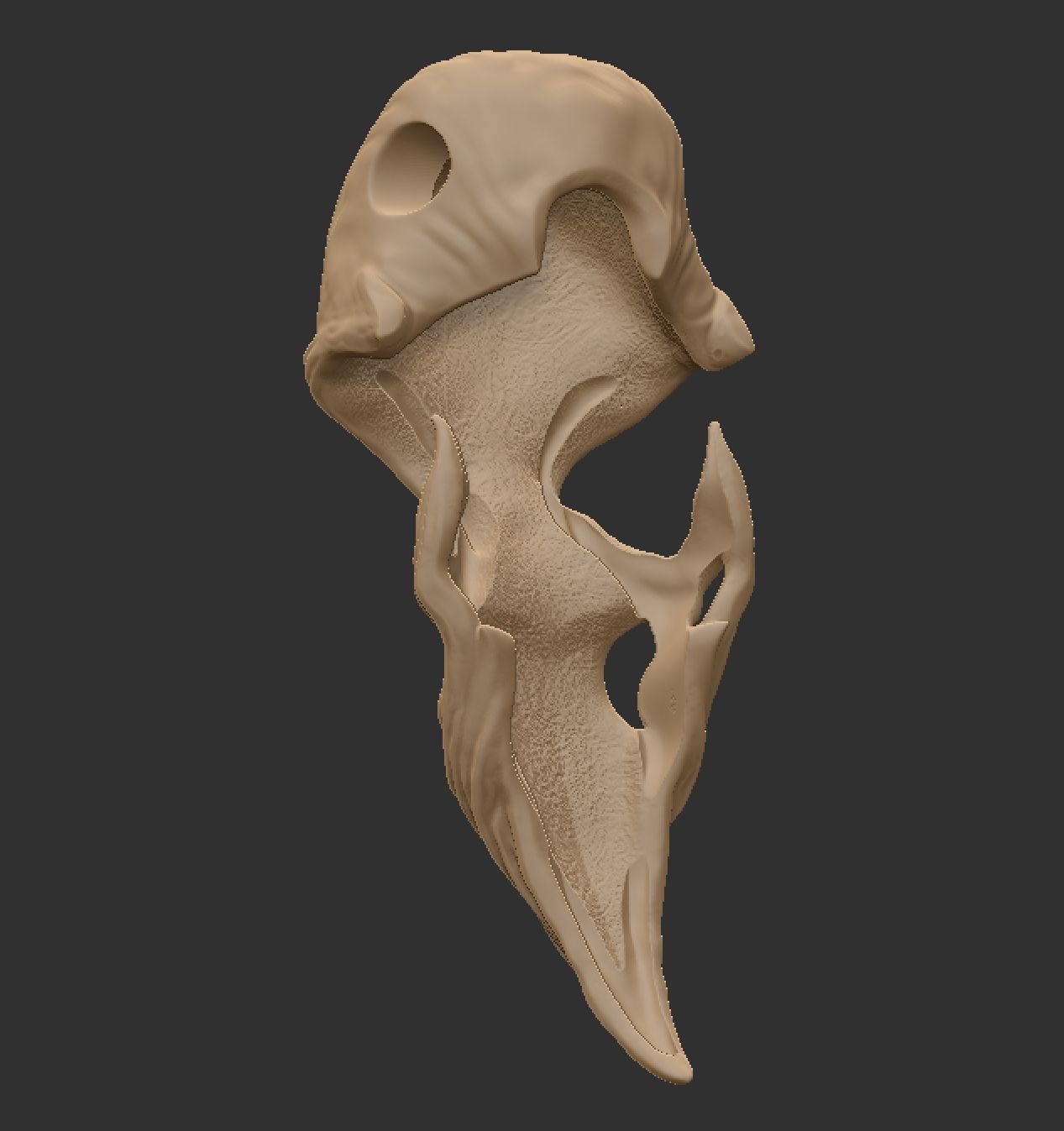 Crow skull 3D print model_8