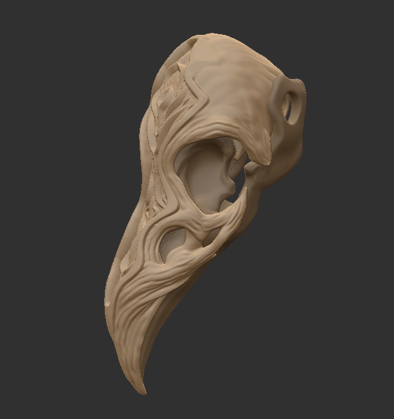 Crow skull 3D print model_5