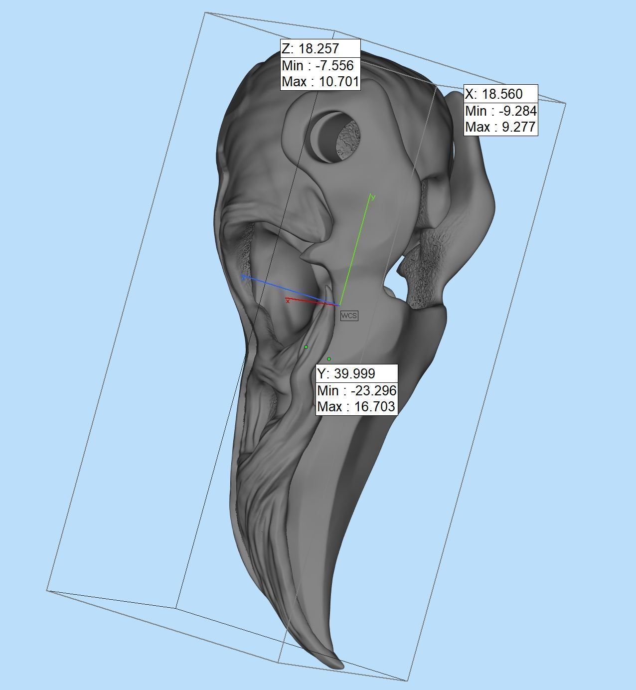 Crow skull 3D print model_13