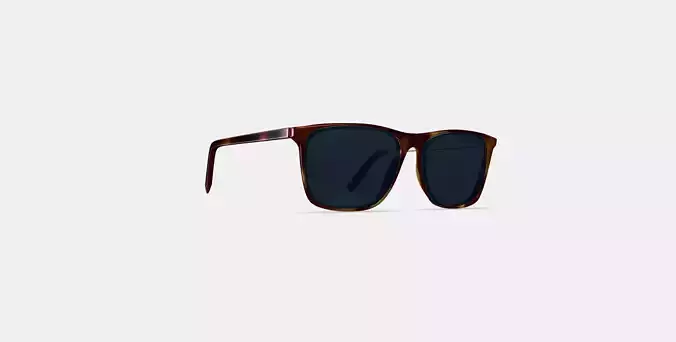 Fletcher Sunglasses in Rye Tortoise 3D model