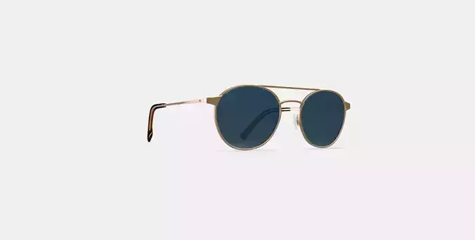 Fisher Sunglasses in Polished Gold