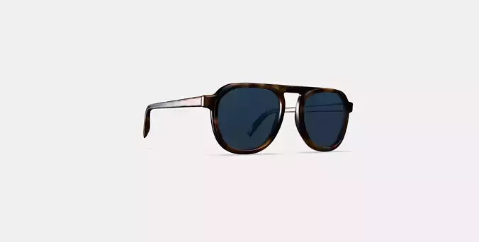Blaise Sunglasses in Woodgrain Tortoise 3D model