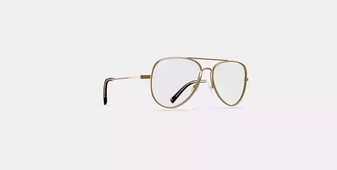 Raider Eyeglasses in Polished Gold
