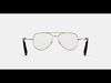 Belmar Eyeglasses in Polished Gold 3D model_1