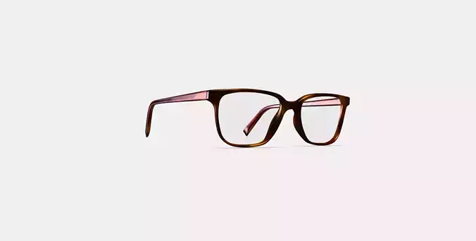 Hayden Low Bridge Fit Eyeglasses in Rye Tortoise 3D model