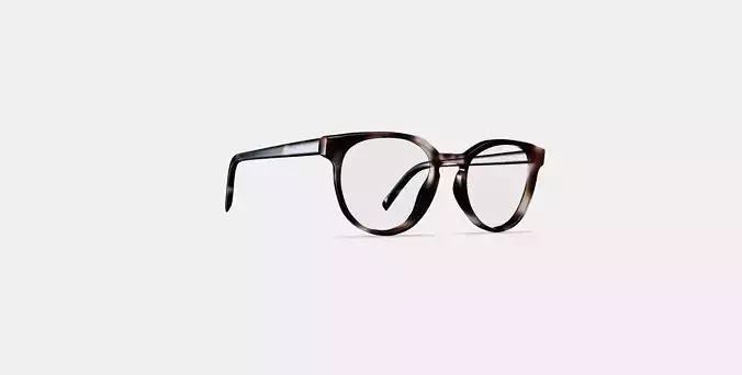 Wright Low Bridge Fit Eyeglasses in Cognac Tortoise 3D model