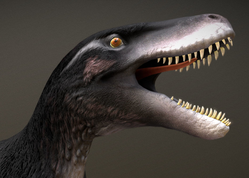 Utahraptor Low-poly 3D model_6