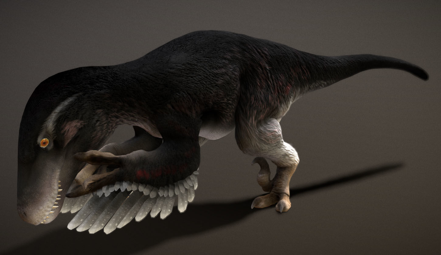 Utahraptor Low-poly 3D model_4