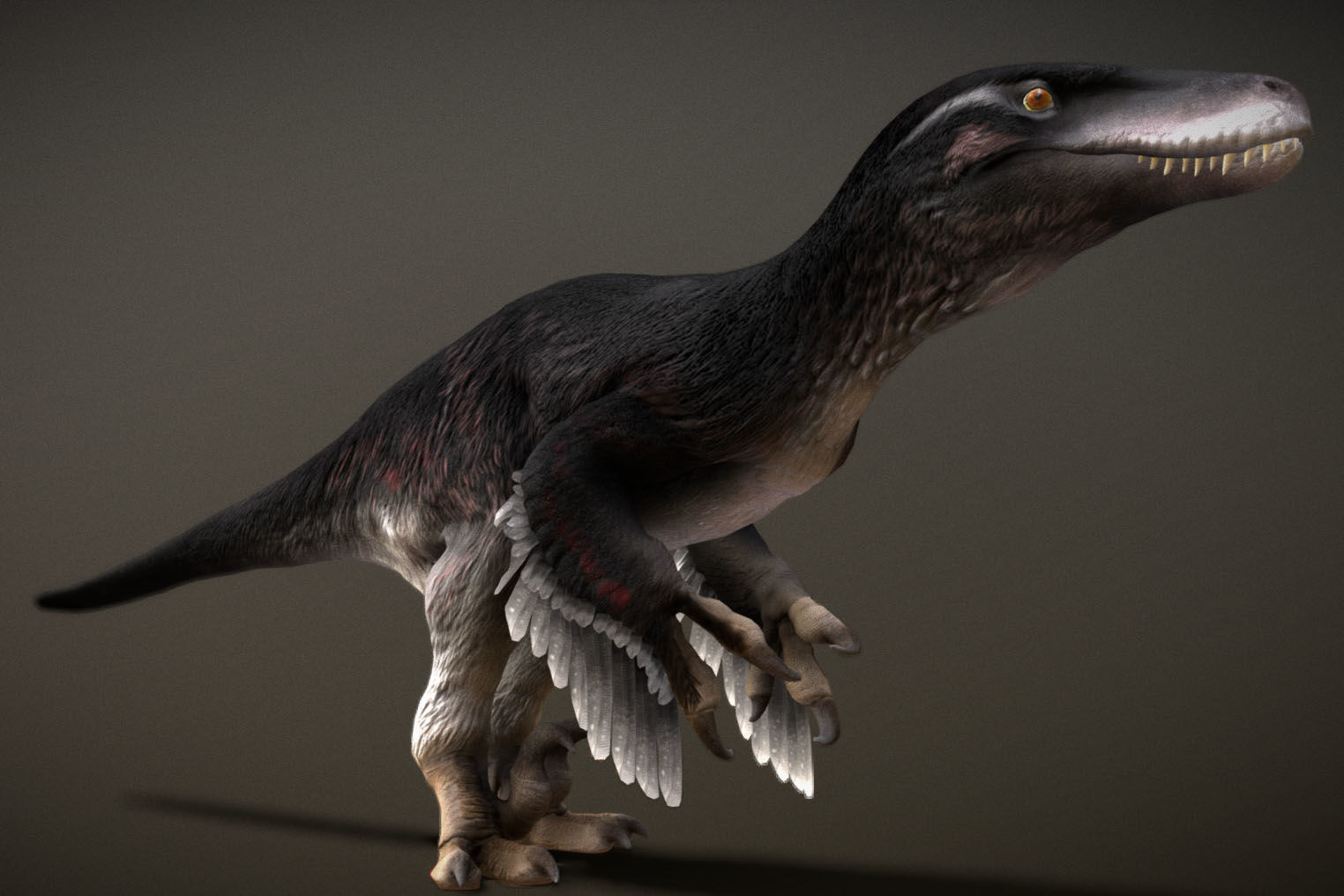 Utahraptor Low-poly 3D model_2