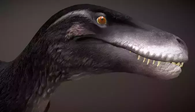 Utahraptor Low-poly 3D model