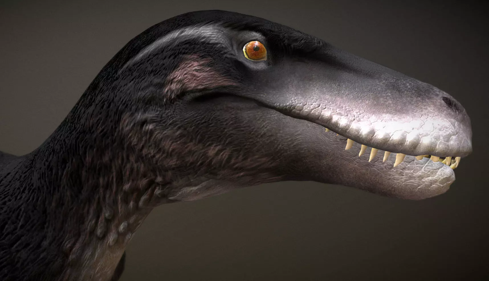 Utahraptor Low-poly 3D model_0