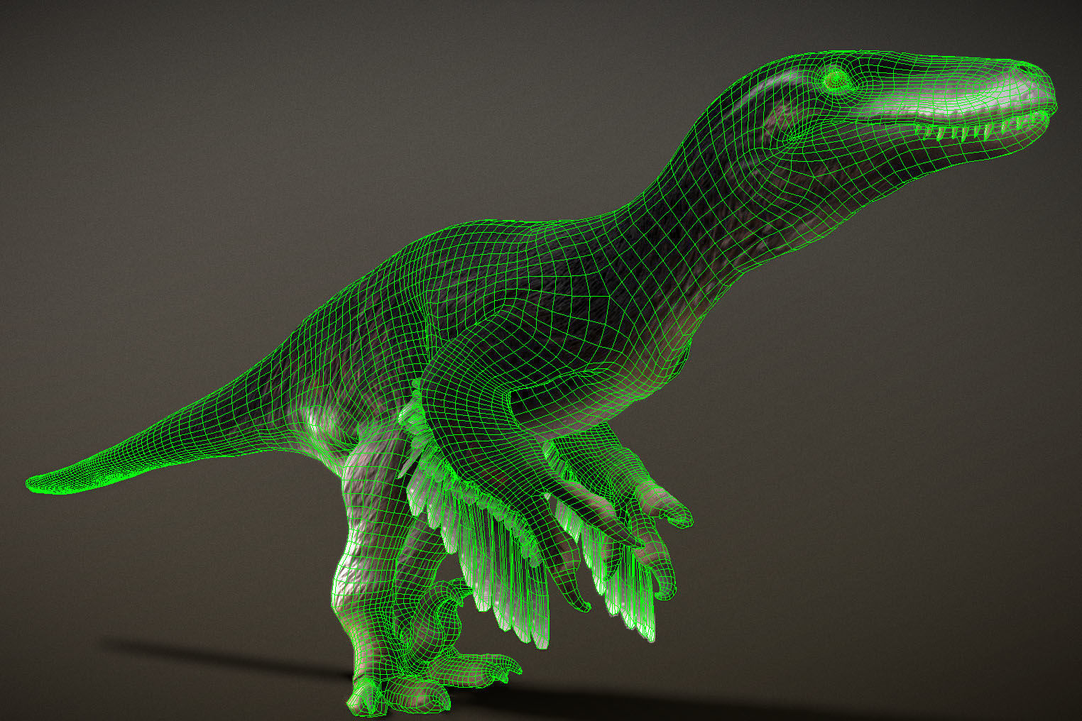 Utahraptor Low-poly 3D model_3