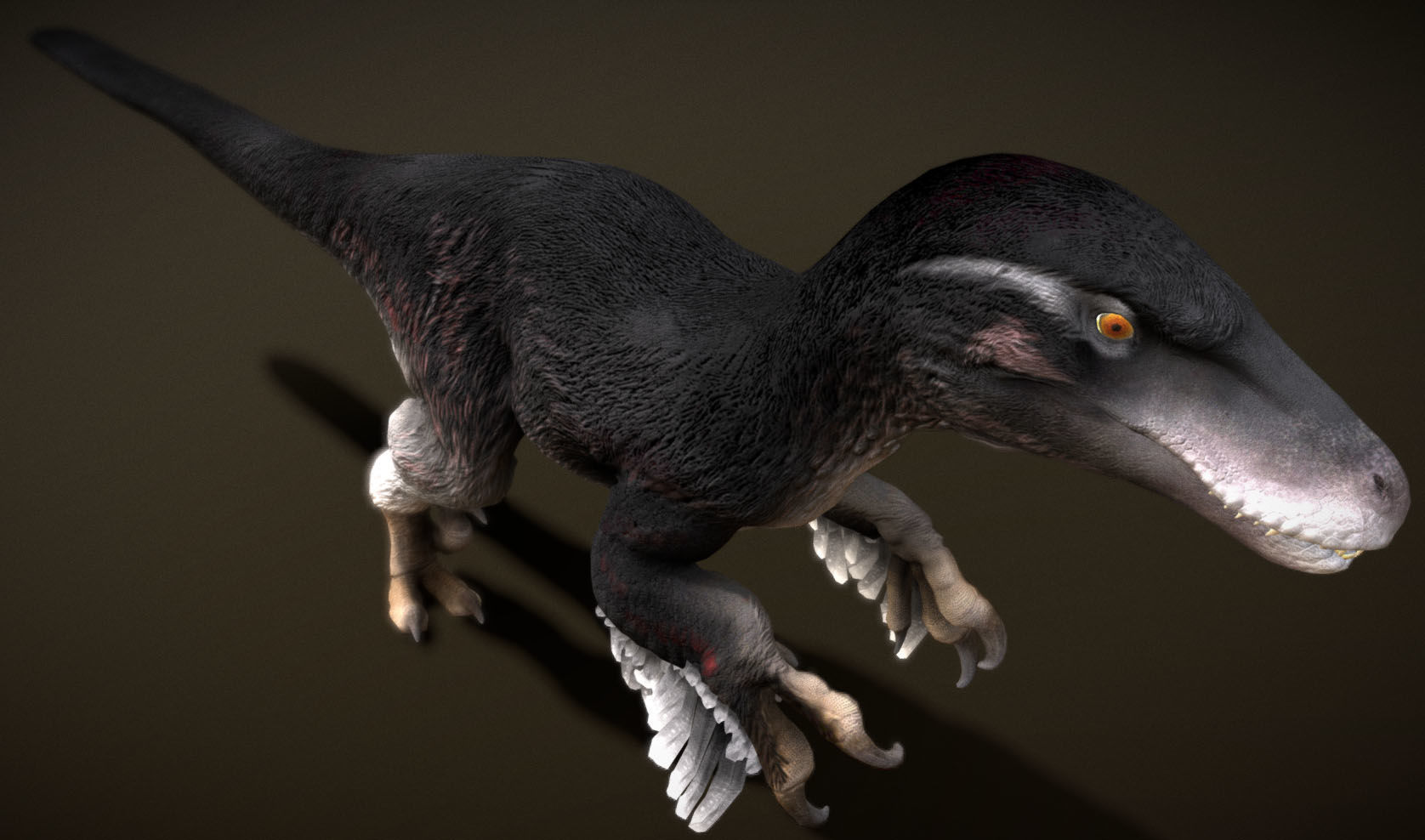 Utahraptor Low-poly 3D model_10