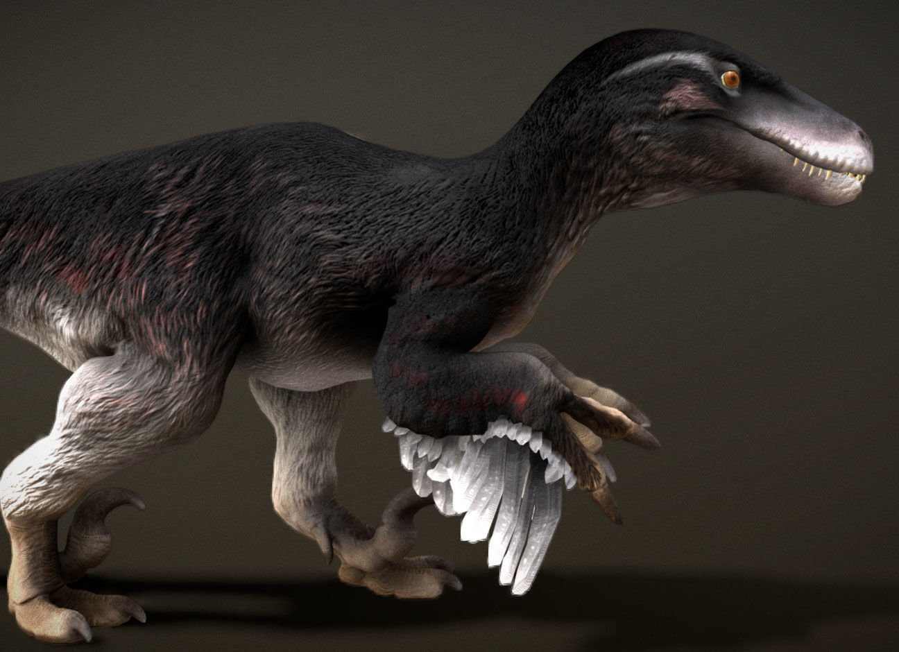 Utahraptor Low-poly 3D model_7
