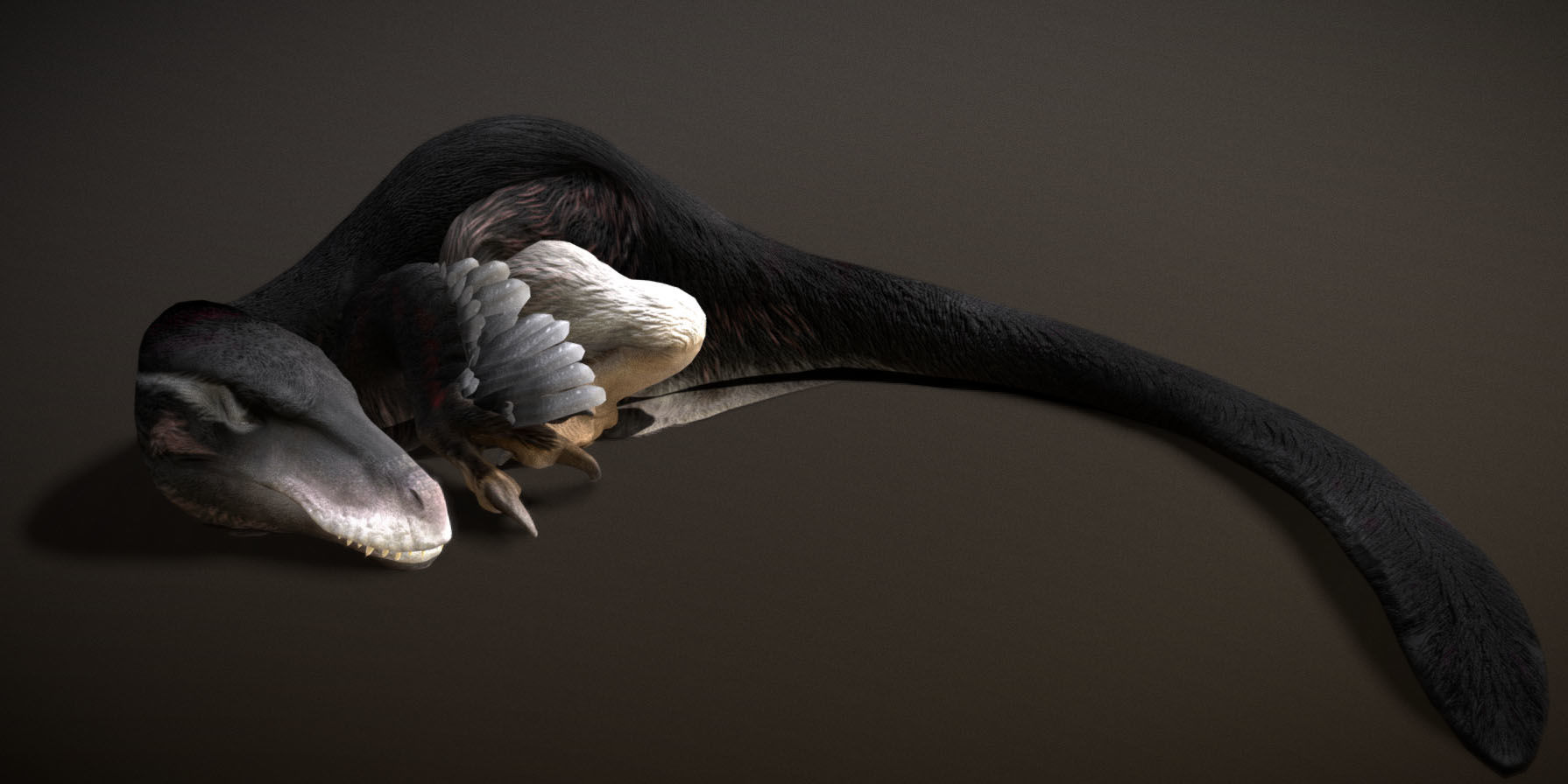 Utahraptor Low-poly 3D model_8