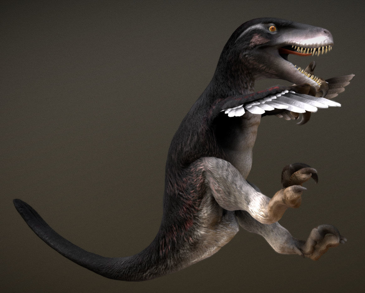 Utahraptor Low-poly 3D model_5