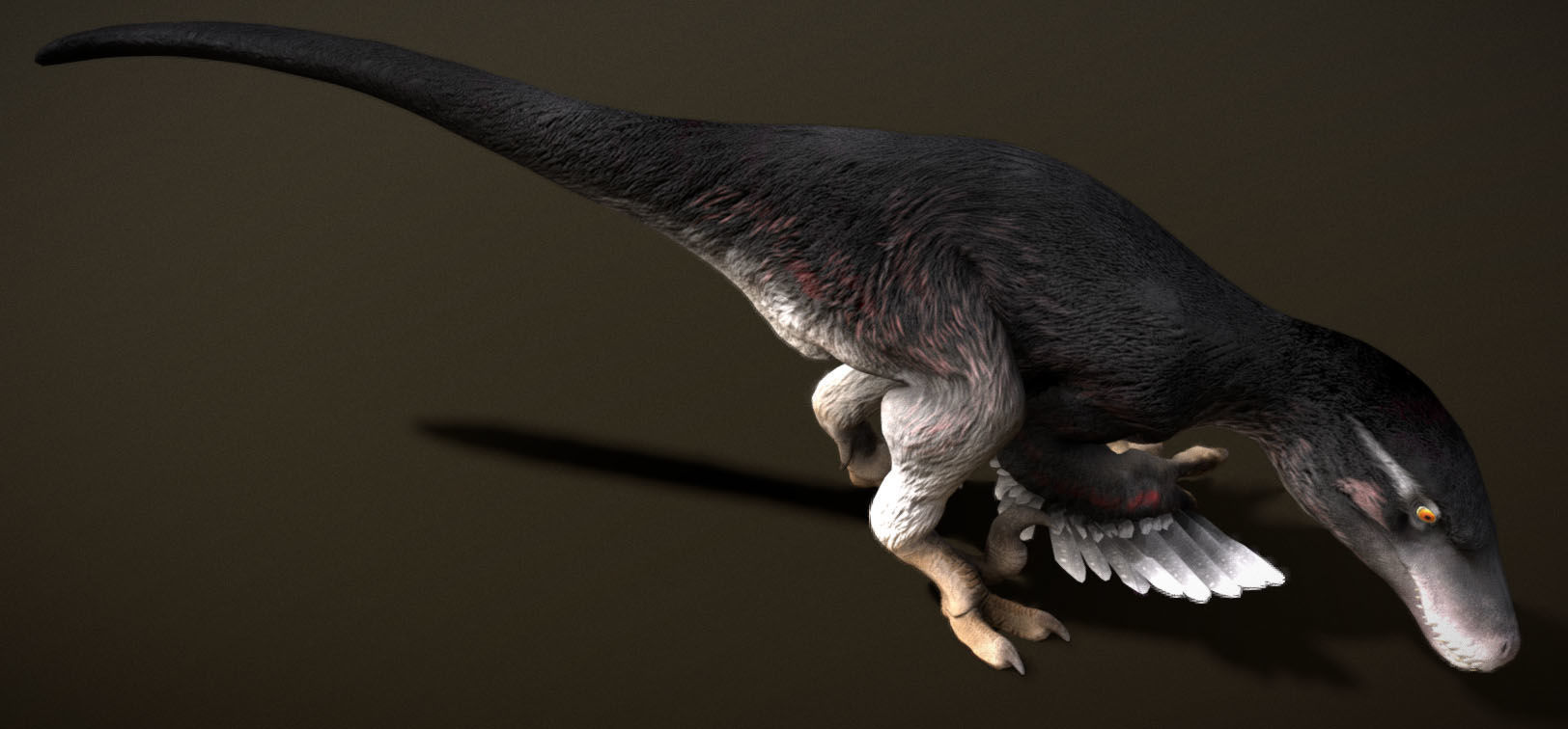 Utahraptor Low-poly 3D model_9