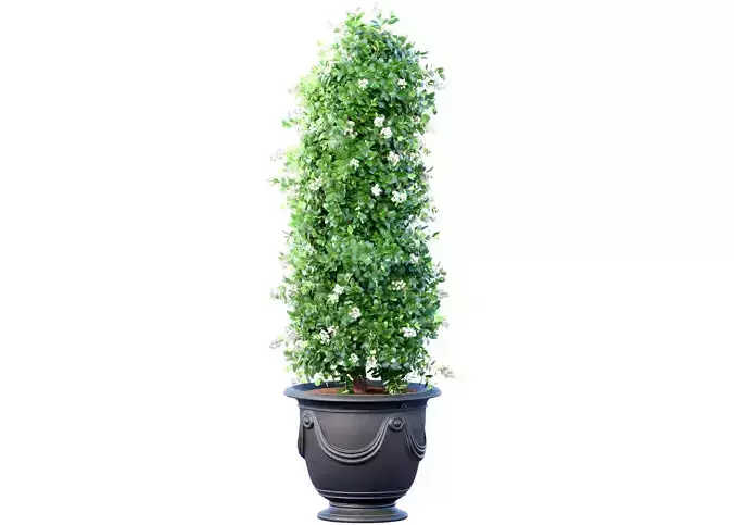 Decorative tree bush plant in a classic garden pot 