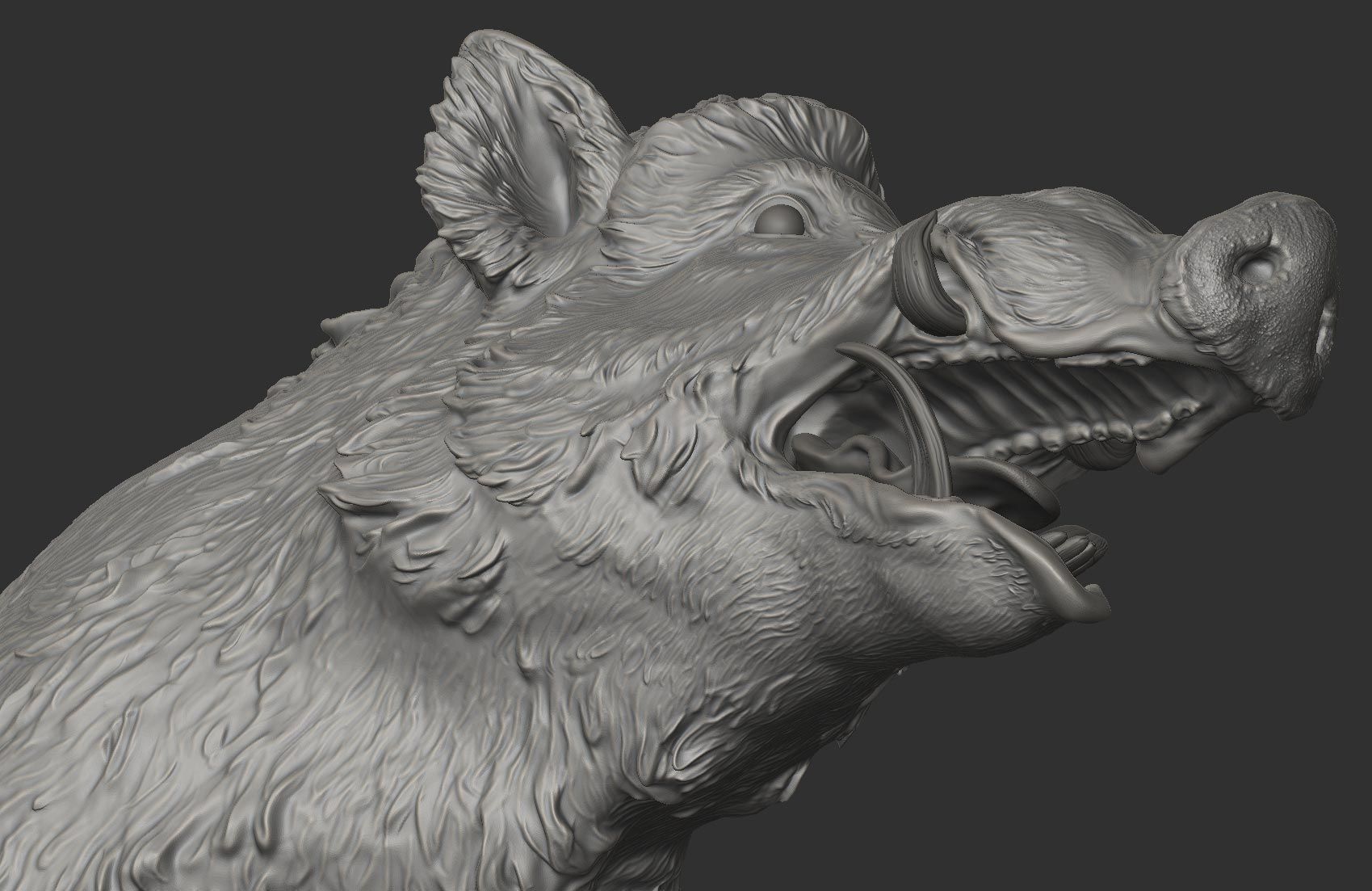 Boar - 3D Sculpting 3D print model_15