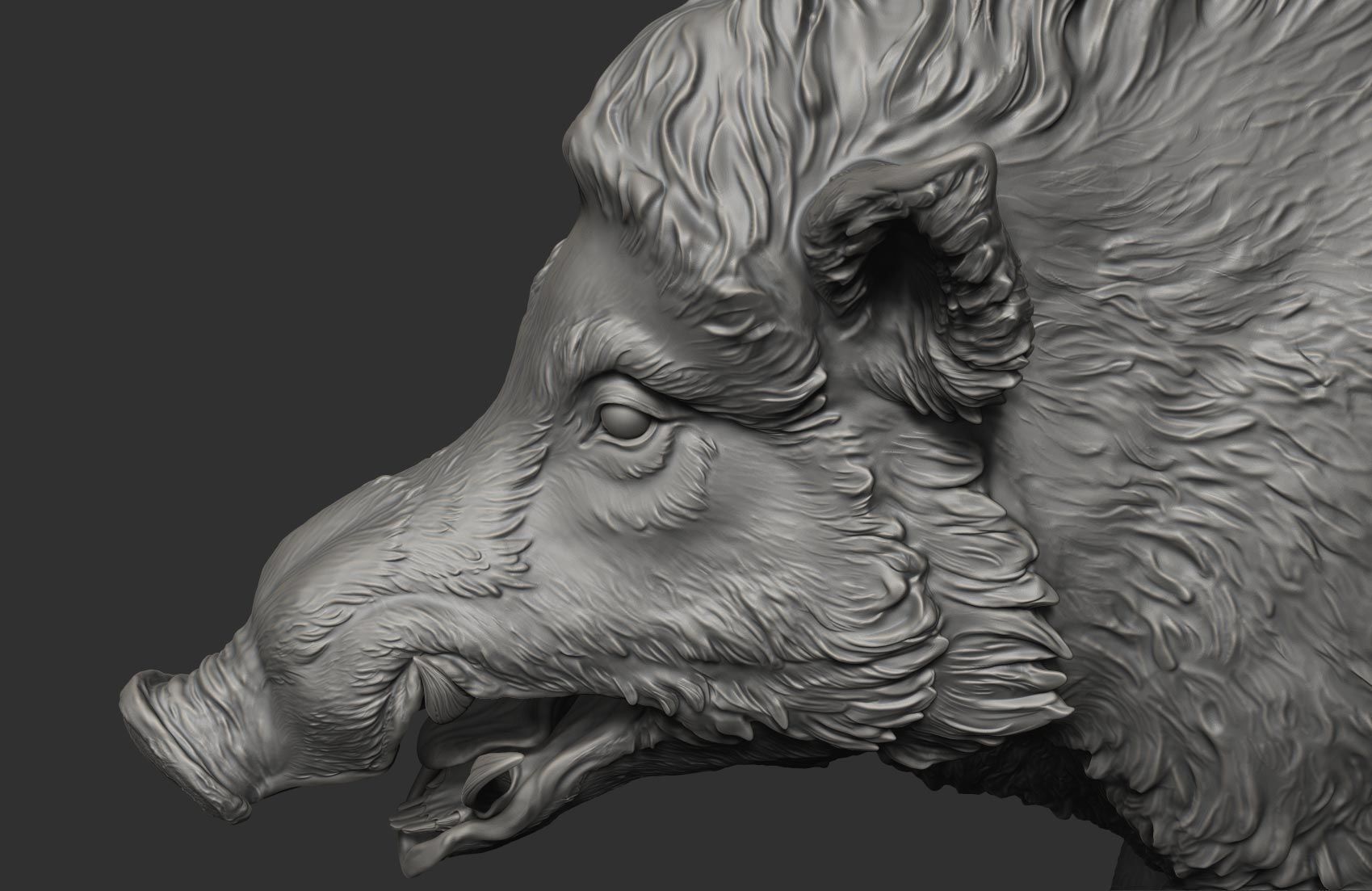 Boar - 3D Sculpting 3D print model_14