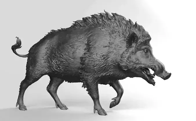 Boar - 3D Sculpting