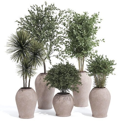 Indoor Plant Set 03 3D model