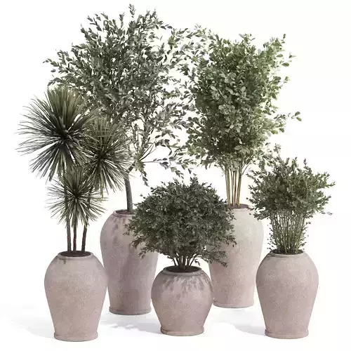 Indoor Plant Set 03