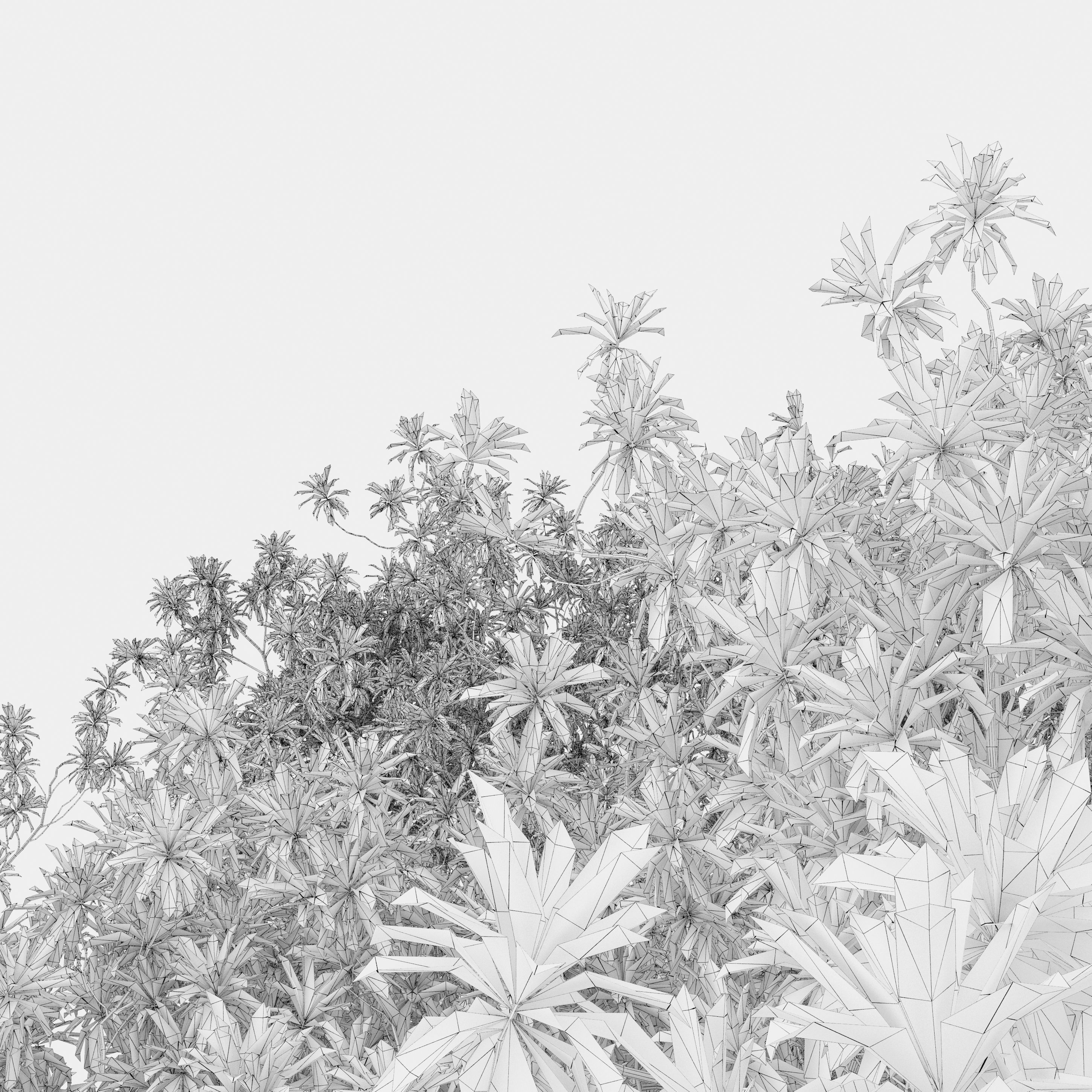 Loquat tree 03 3D model_4