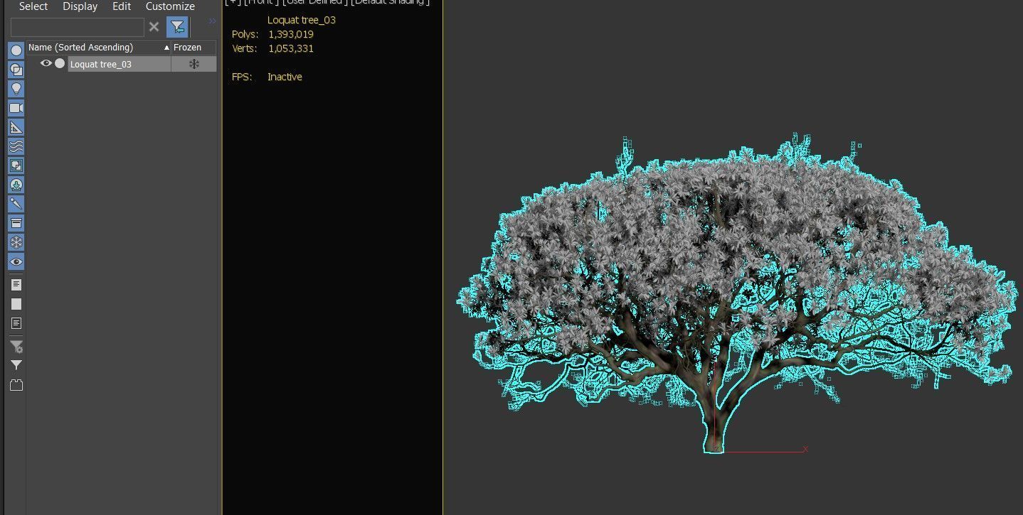 Loquat tree 03 3D model_5