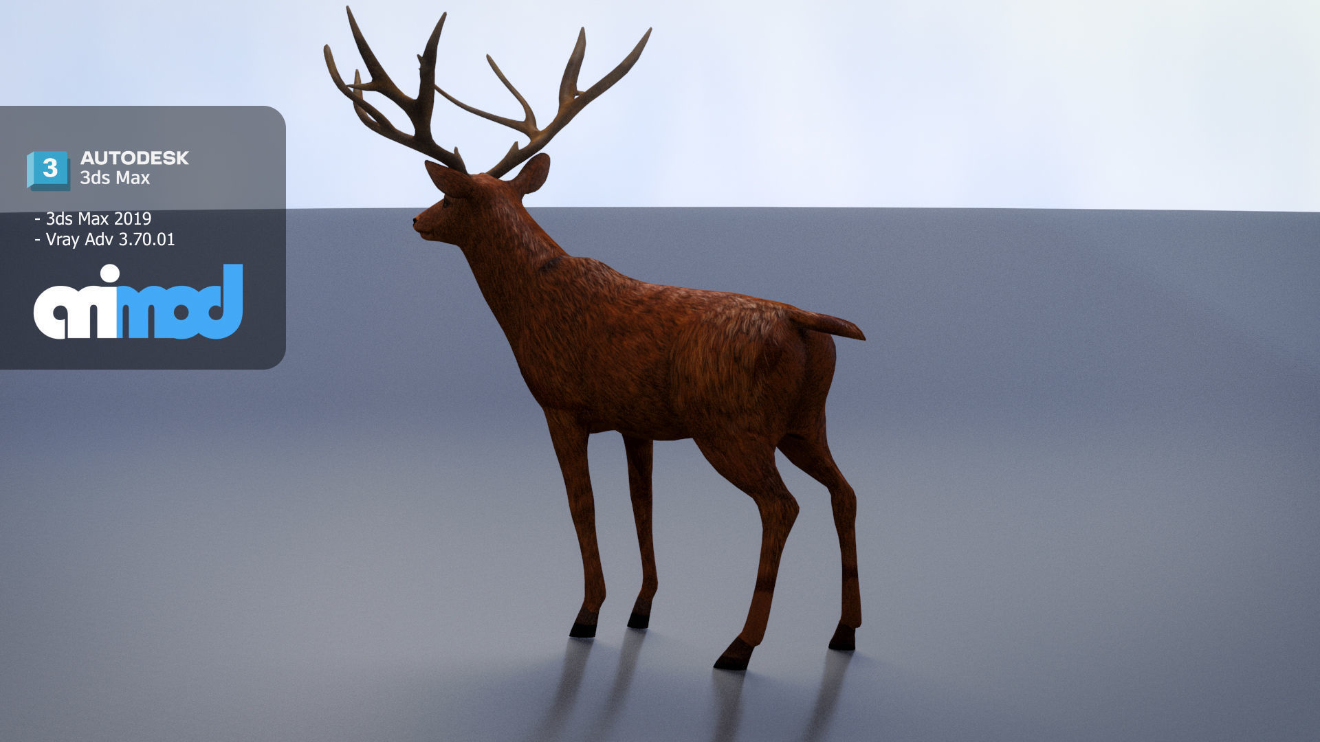 Deer 001 3D model_4