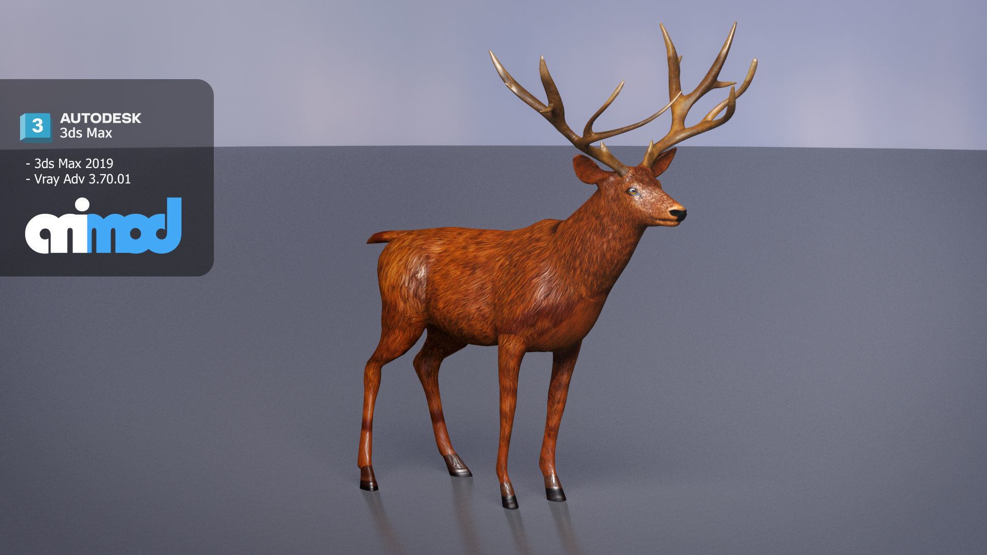 Deer 001 3D model_1