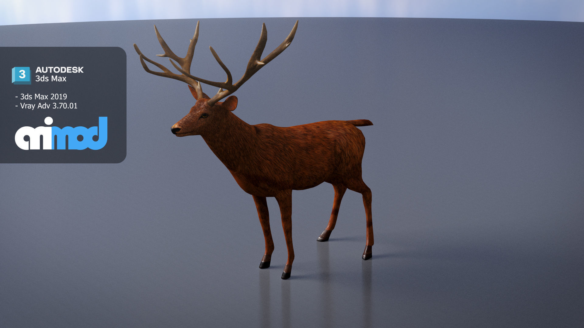Deer 001 3D model_2