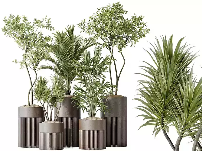 AV Indoor plants set 129 Olive and Palm and Kentia and Yucca