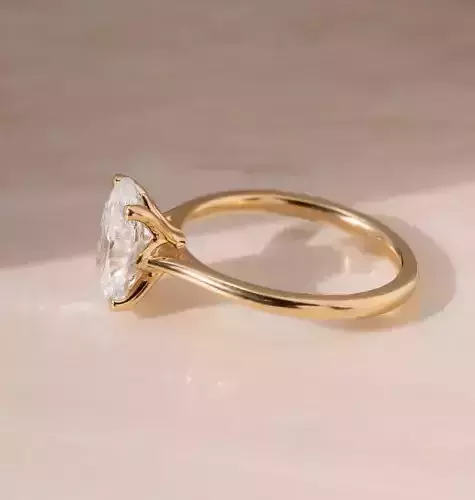 Cathedral Engagement Ring