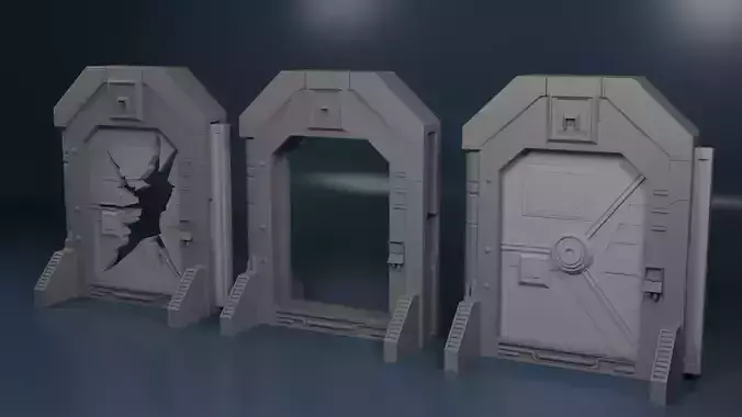 Nemesis Door with Changable inserts