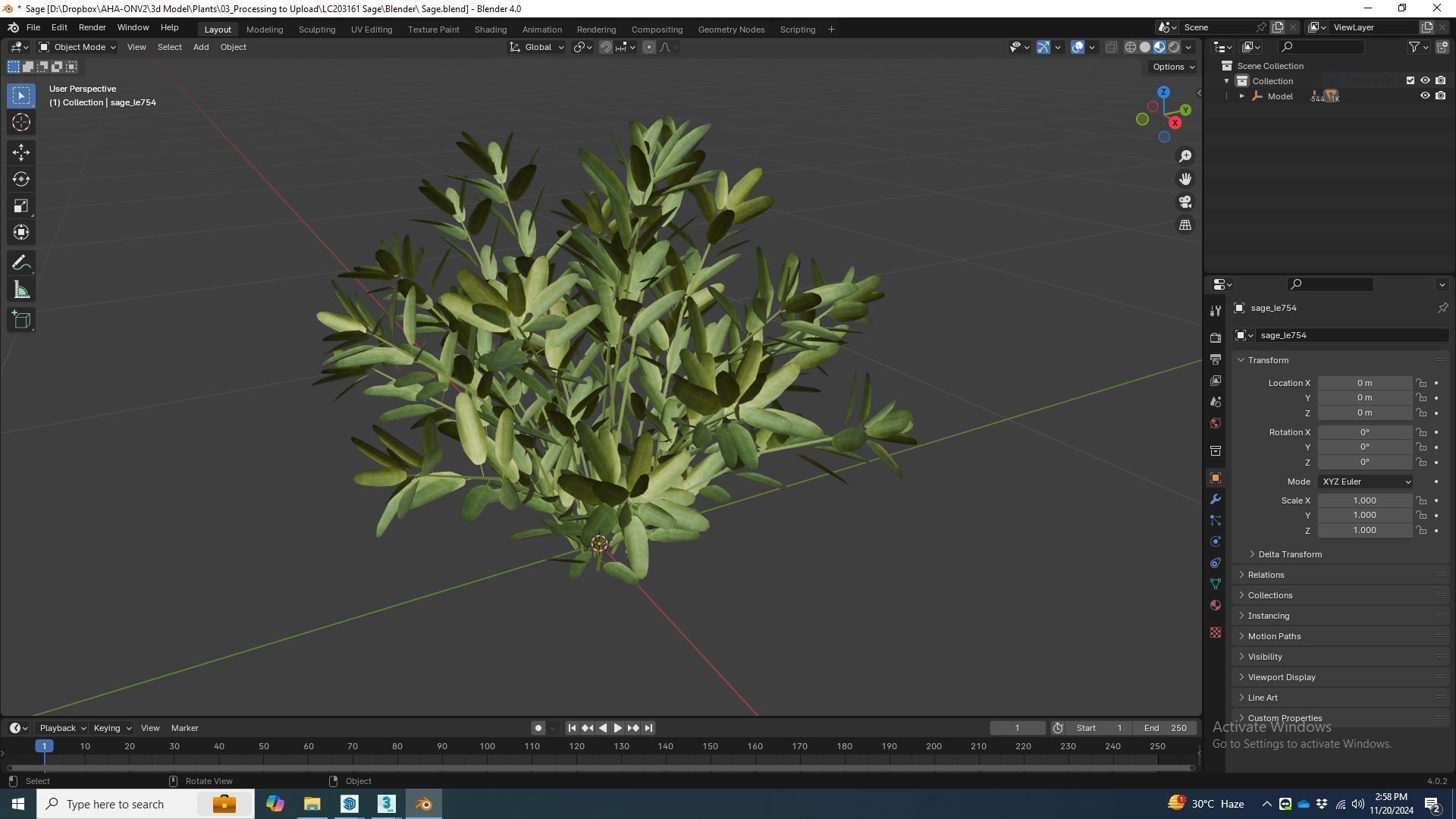 Plant Sage Low-poly 3D model_6