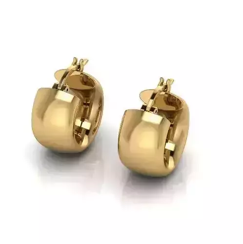 Earrings Model 6702
