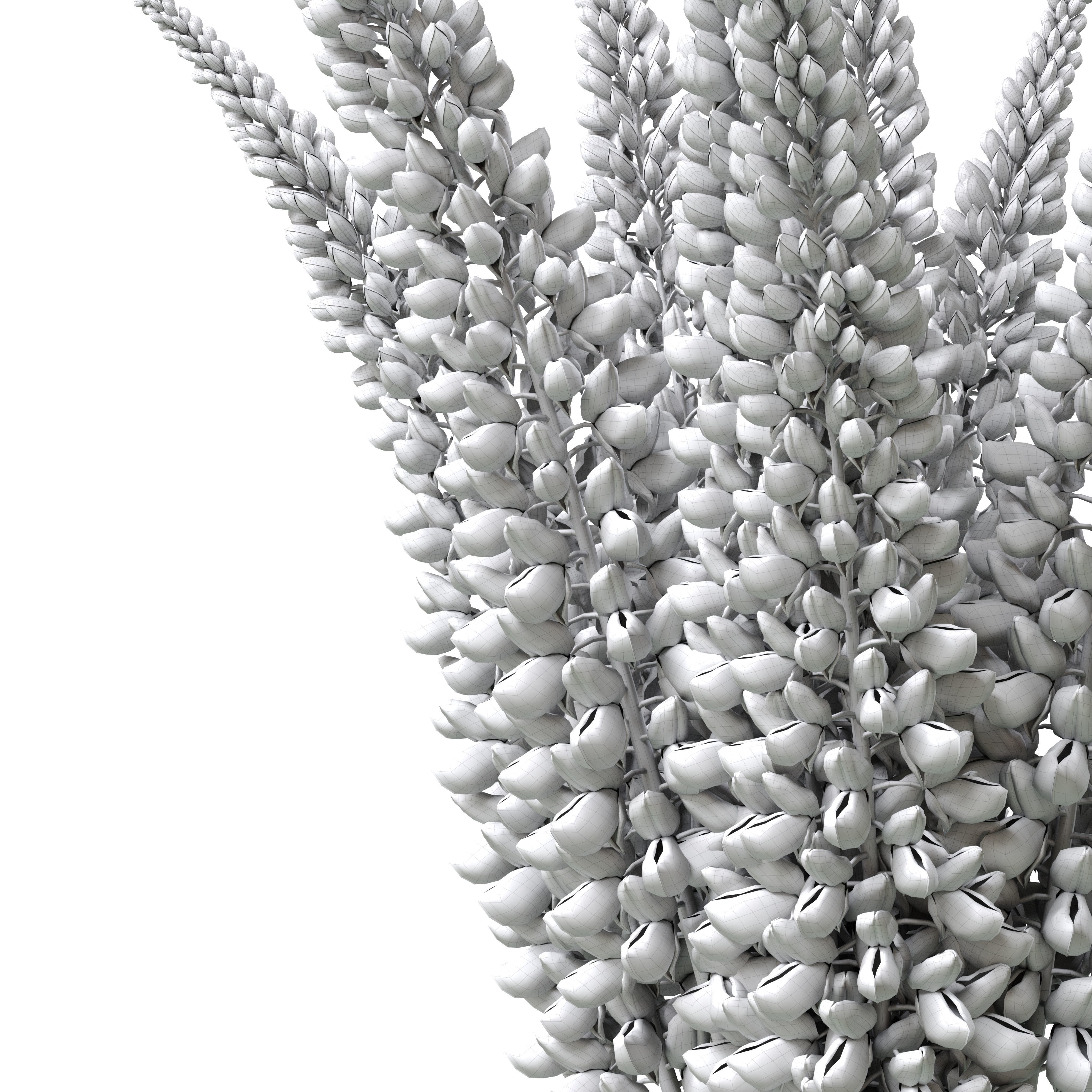 Bouquet of pink lupine flowers Lupinus 3D model_20